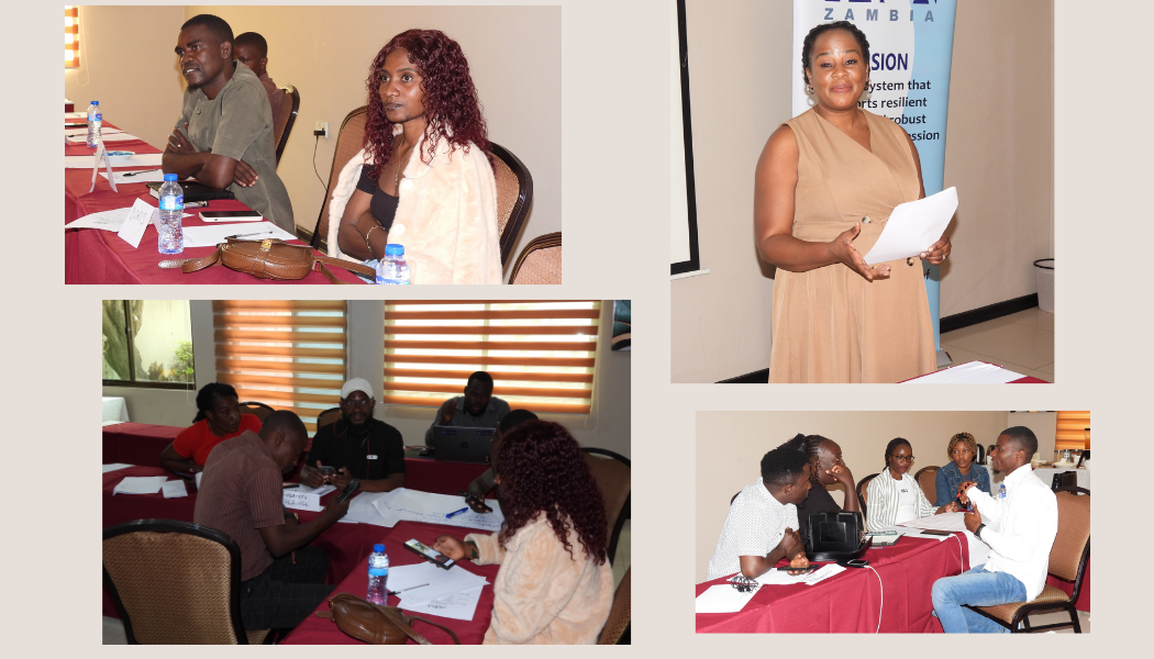 MISA Zambia Deploys Media Monitors Ahead of 2026 Elections